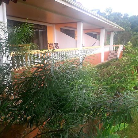 Cabinas Manolo Drake Bay, Ocean And Forest View Luaran gambar